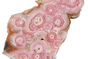 インカローズの歴史は？
