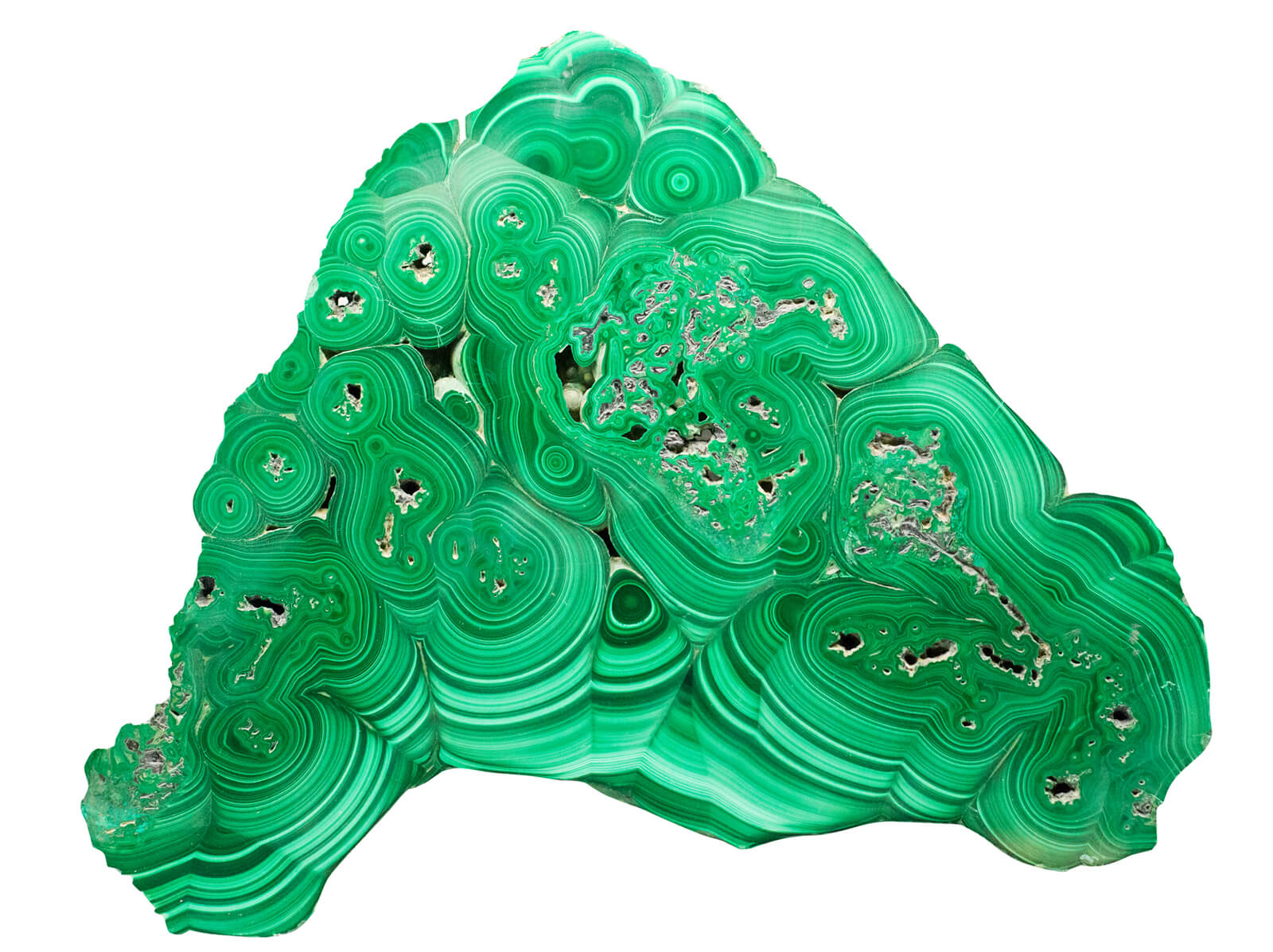 プロトロンビン時間 (PT) 検査